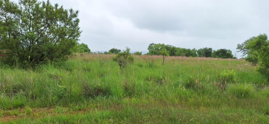 10 Bedroom Property for Sale in Swartruggens North West